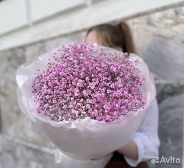 Гипсофилы от производителя. Доставка в срок 24/7