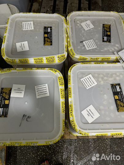 Темное разнотравье. свежий мед оптом