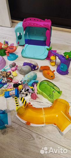 Хомячки с аксессуарамии автобусом