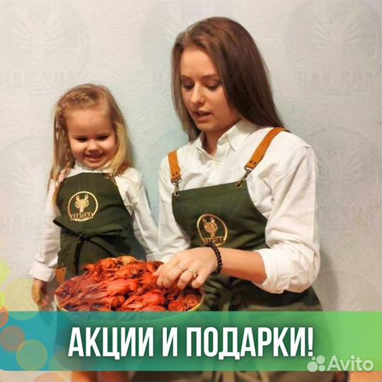 Устрицы живые Императорские Мидии Морепродукты