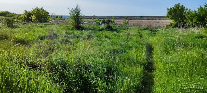 Участок 17 сот. (ИЖС)