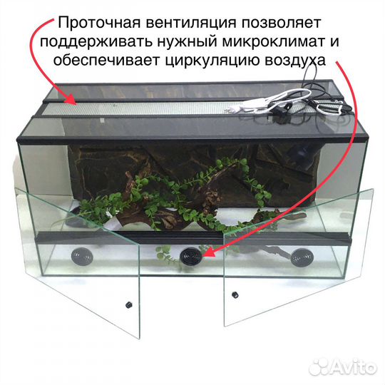 Террариум для бородатой агамы / комплект