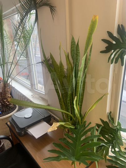 Комната 20 м², 1/1 эт.