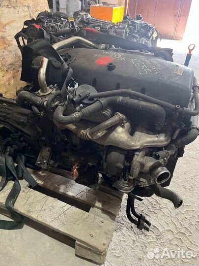 Двигатель BAC Volkswagen Touareg 2.5 R5 TDI