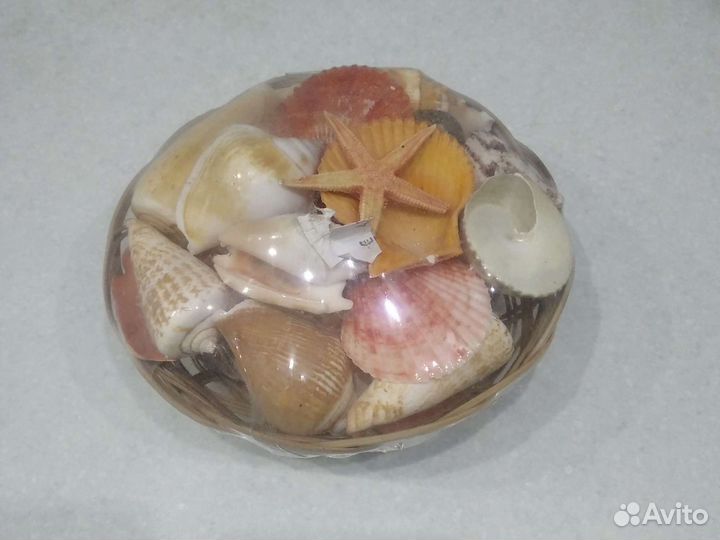 Сувенирная корзина с ракушками