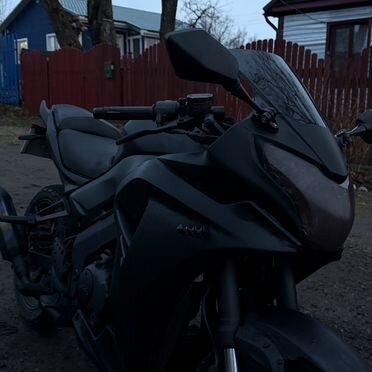 S2 Motors Panther CBR250, 2014, 1 км