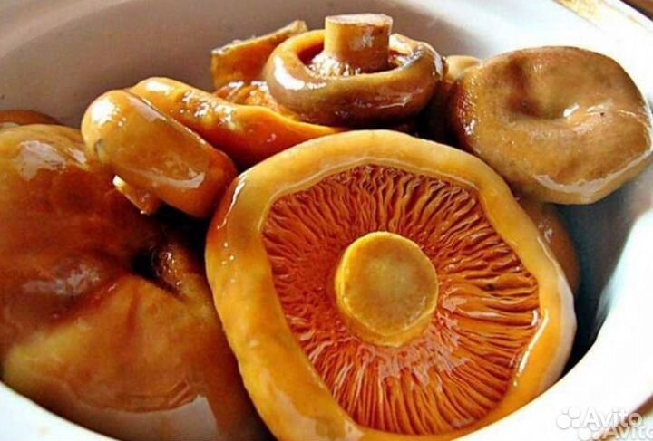 Рыжики маринованные