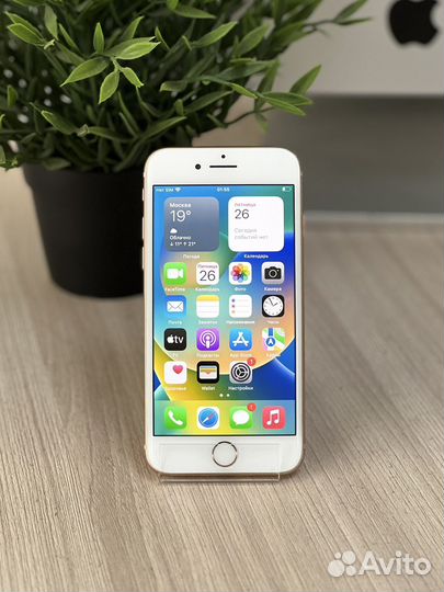 iPhone 8, 64 ГБ