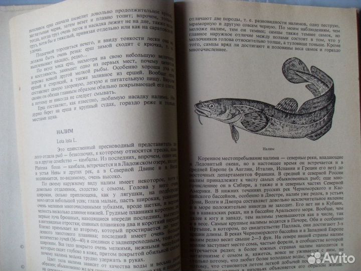 Жизнь и ловля пресноводных рыб 1978г