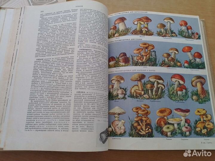 2 шт Книги 1962 год