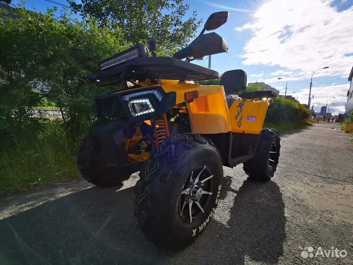 Motoland (мотоленд) 200 wild track X PRO-sport