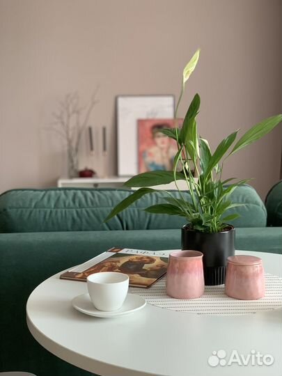 Хоумстейджинг(помощь в продаже недвиж-ти)