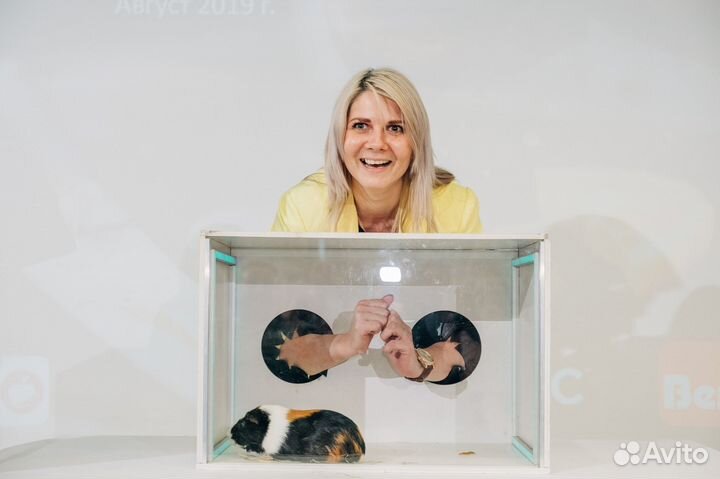 Организация корпоратива \ юбилея \ выпускного