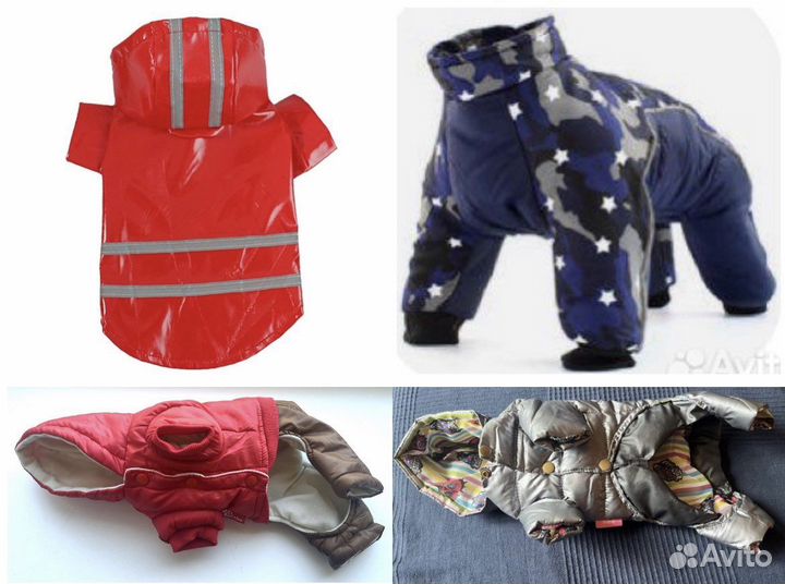 Одежда для собаки