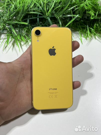 iPhone Xr, 64 ГБ