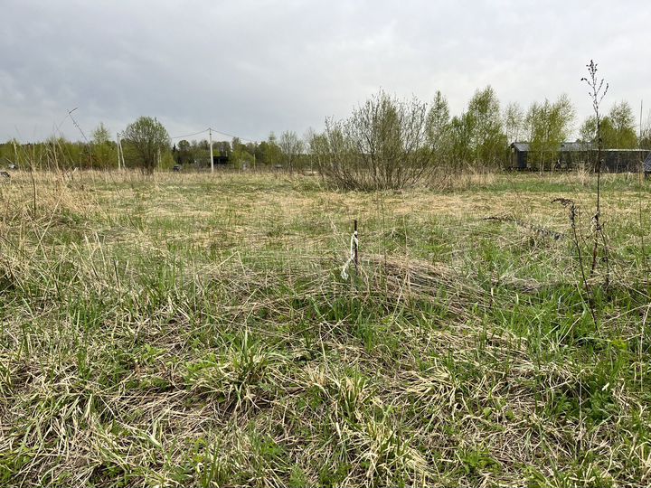 Участок 11,5 сот. (СНТ, ДНП)