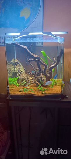 Аквариум под ключ