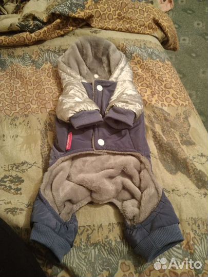 Зимний костюм для собаки