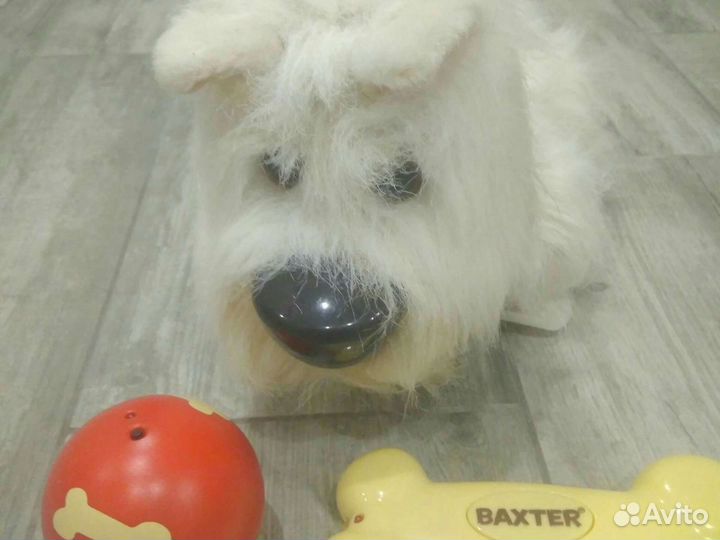 Игрушечная собака