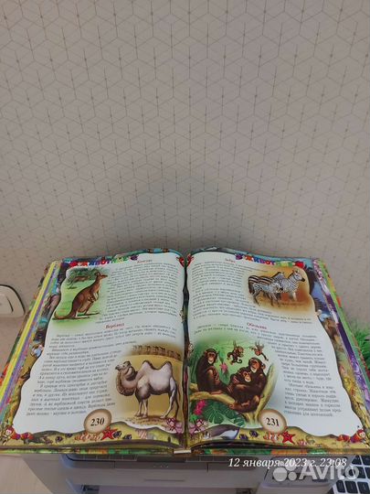 Большая энциклопедия дошкольника