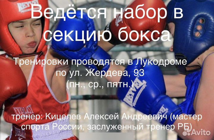 Секция бокса