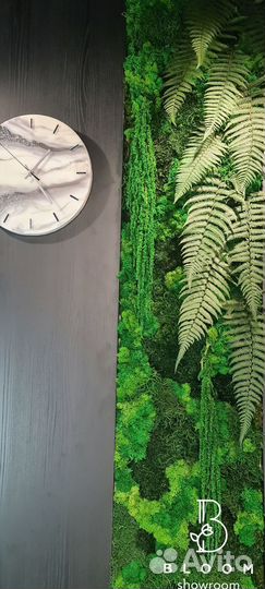 Стабилизированный мох. Современный интерьер