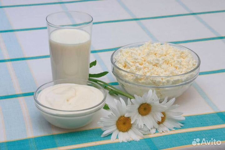 Домашние молочные продукты
