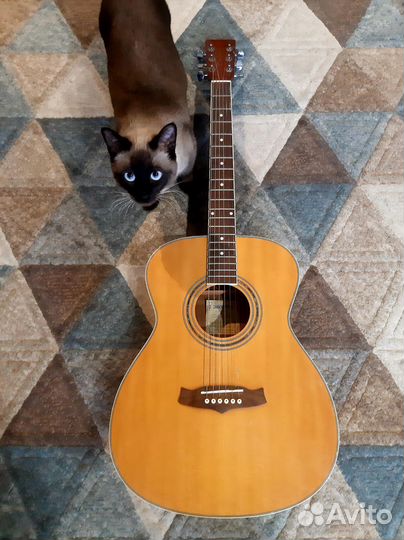 Акустическая гитара