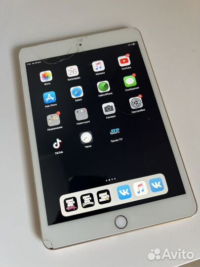 iPad mini 3 64gb cellular