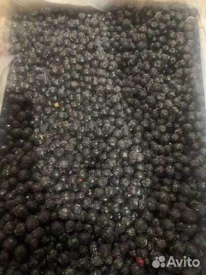 Брусника,клюква,черника,клубника,малина(заморозка)