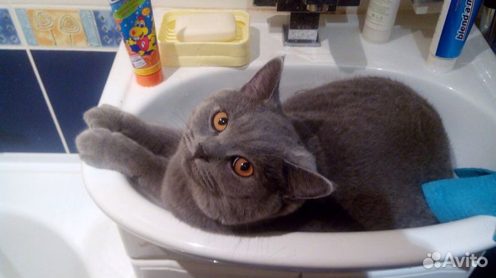 Приглашаем невест на свидание