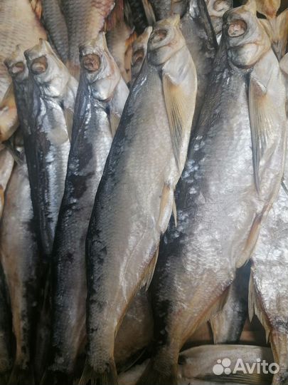 Вяленая рыба