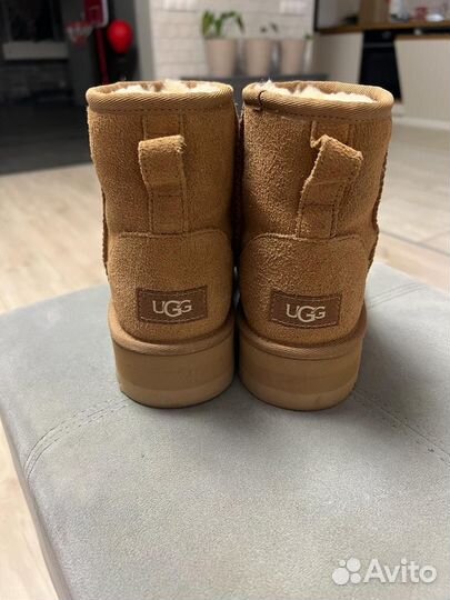 Ugg оригинал