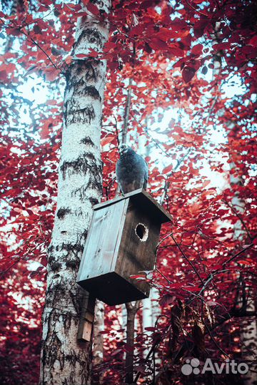 Объектив Зенитар-М 50 mm f/ 1,7 резьба М42