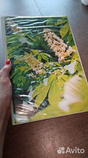 Фотоальбом СССР новый