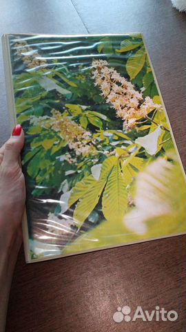 Фотоальбом СССР новый