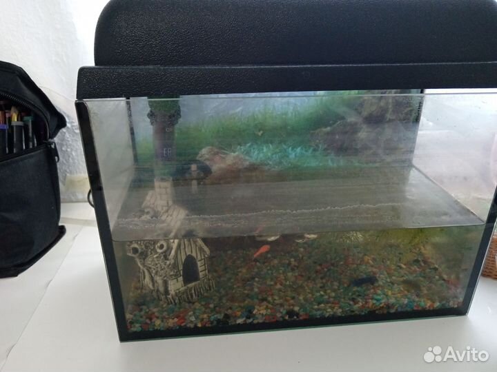 Аквариум
