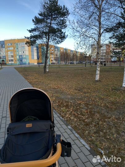 Коляска 2 в 1 luxmom