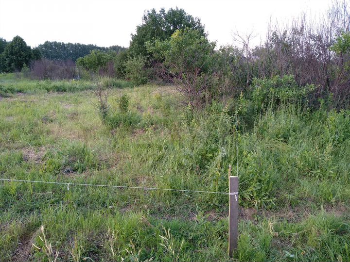 Участок 6 сот. (СНТ, ДНП)