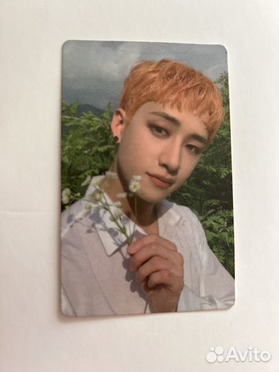 Лого карты,не офф Stray Kids