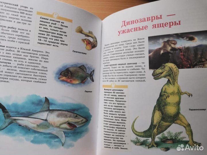 Большая иллюстрированная энциклопедия школьника