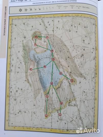 Энциклопедия.Насыщенное содержание