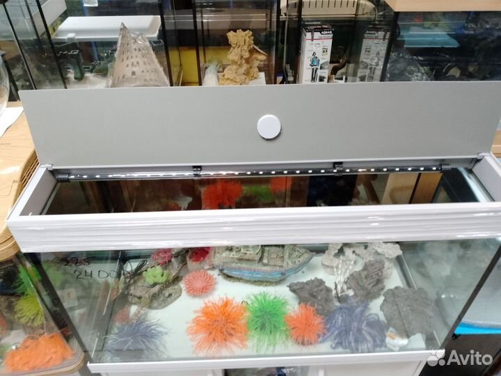 Аквариум