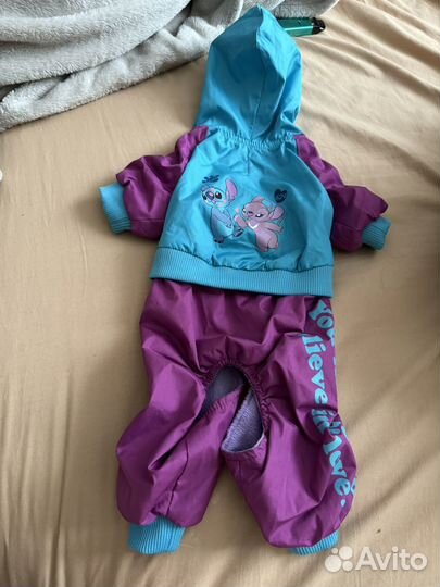 Одежда для маленьких собак пакетом