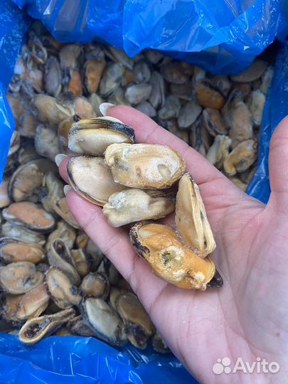 Свежезамороженная рыба