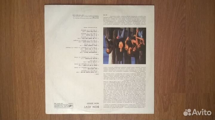 BON jovi (виниловая пластинка)