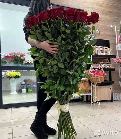 101 роза цветы букеты доставка 25 51 101 роза