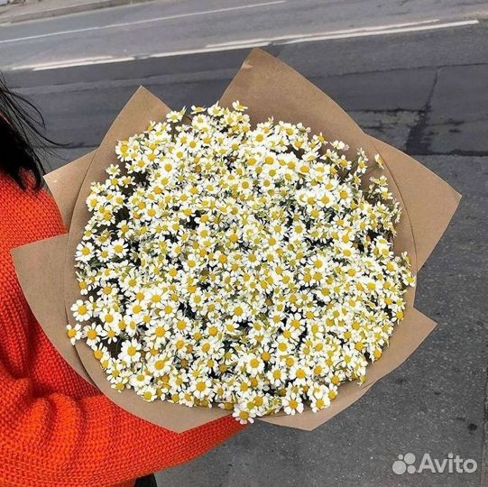 Ромашки Пионы Розы Доставка