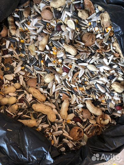 Крупные и средние попугаи разных видов. Питомник