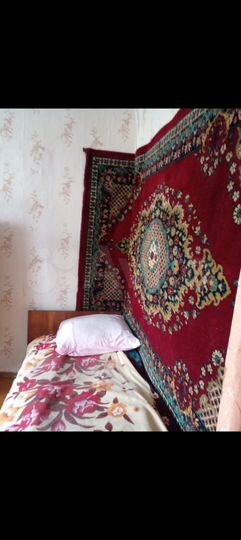 Дом 50,6 м² на участке 32 сот.